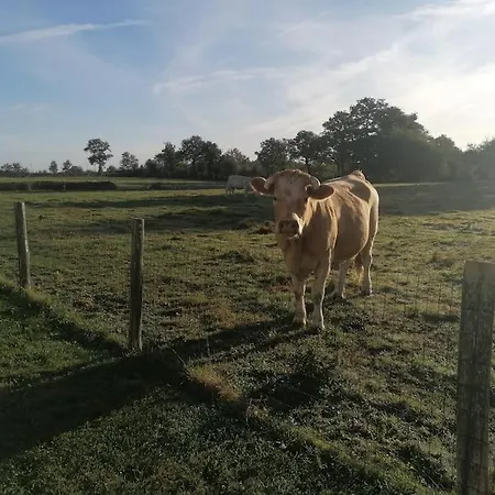 La Grange Des Landes * Mauleon